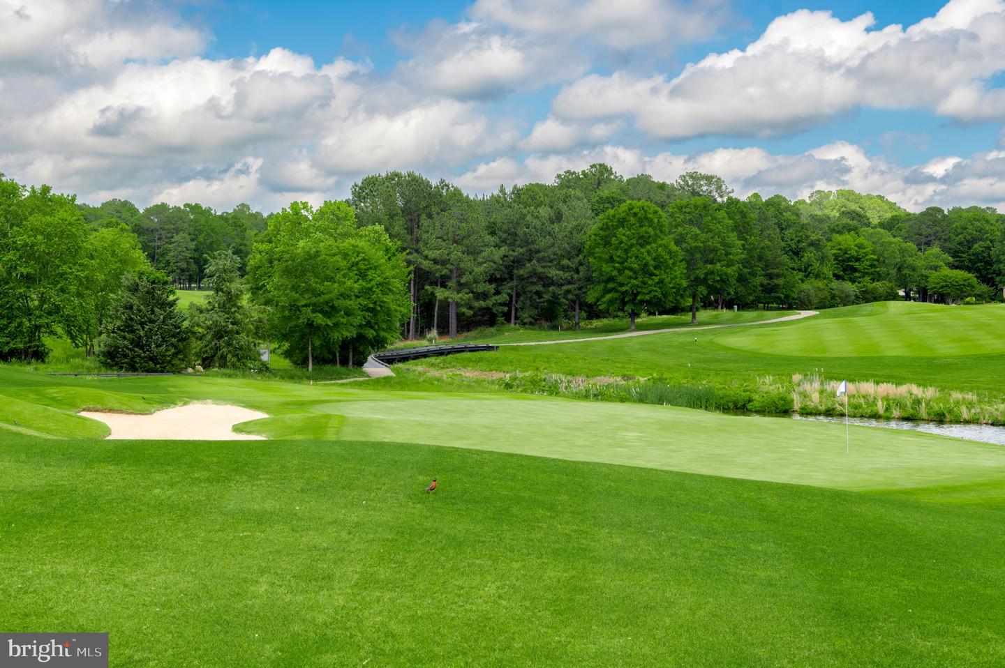 11316 OAKVILLE LN, SPOTSYLVANIA, Virginia 22551, 4 Bedrooms Bedrooms, ,3 BathroomsBathrooms,Residential,For sale,11316 OAKVILLE LN,VASP2038940 MLS # VASP2038940