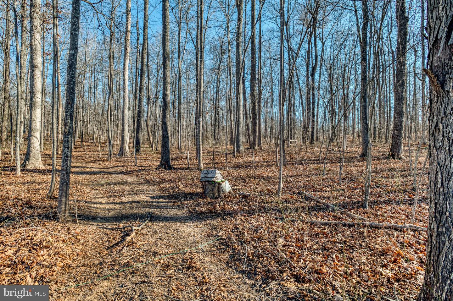 15081 KIMBER LN, CULPEPER, Virginia 22701, 5 Bedrooms Bedrooms, ,3 BathroomsBathrooms,Residential,For sale,15081 KIMBER LN,VACU2012626 MLS # VACU2012626
