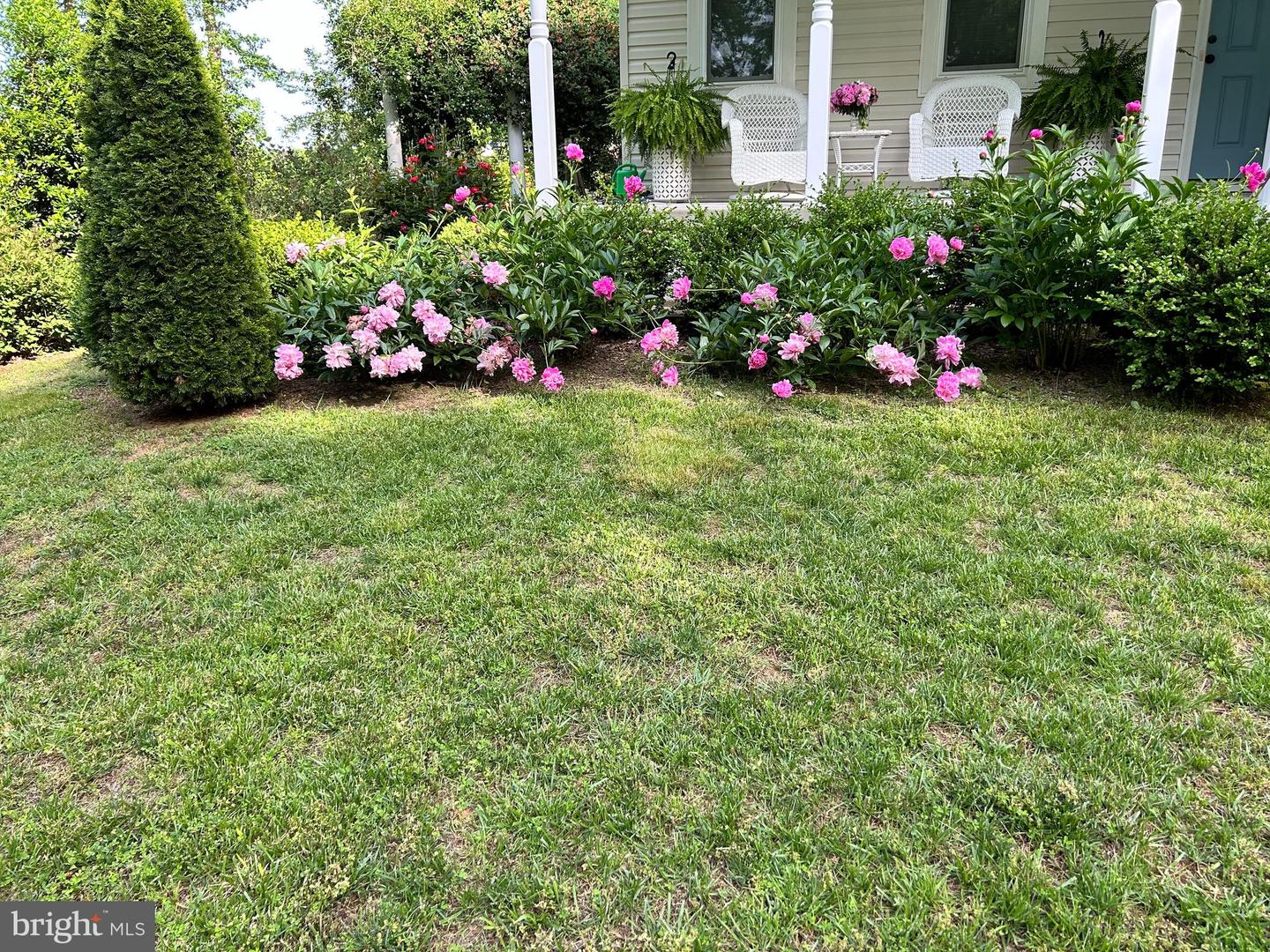 29288 OLD OFFICE RD, RHOADESVILLE, Virginia 22542, 3 Bedrooms Bedrooms, 5 Rooms Rooms,2 BathroomsBathrooms,Residential,For sale,29288 OLD OFFICE RD,VAOR2013306 MLS # VAOR2013306