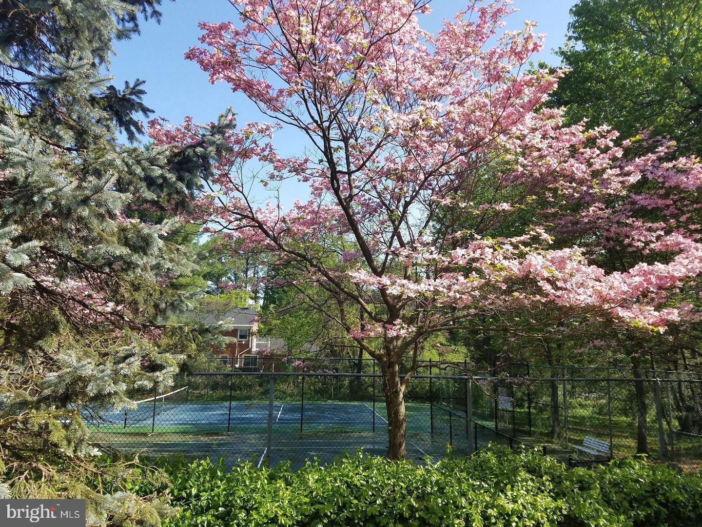 3322 LAKESIDE VIEW DR #3-3, FALLS CHURCH, Virginia 22041, 2 Bedrooms Bedrooms, ,1 BathroomBathrooms,Residential,For sale,3322 LAKESIDE VIEW DR #3-3,VAFX2291624 MLS # VAFX2291624