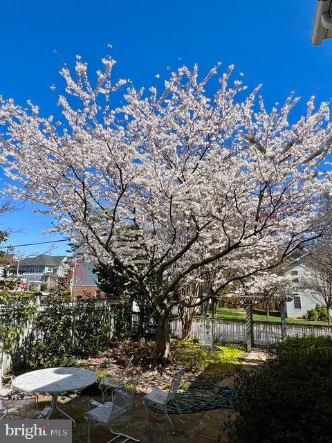 6401 29TH ST N, ARLINGTON, Virginia 22207, 5 Bedrooms Bedrooms, ,4 BathroomsBathrooms,Residential,For sale,6401 29TH ST N,VAAR2069086 MLS # VAAR2069086