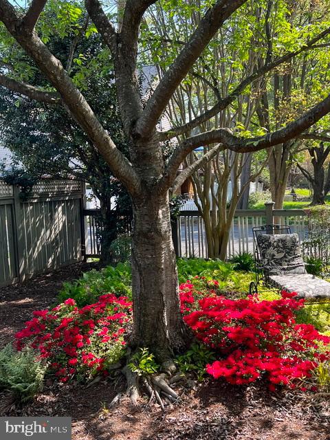 6401 29TH ST N, ARLINGTON, Virginia 22207, 5 Bedrooms Bedrooms, ,4 BathroomsBathrooms,Residential,For sale,6401 29TH ST N,VAAR2069086 MLS # VAAR2069086