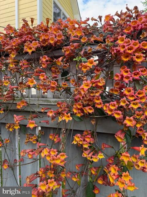 6401 29TH ST N, ARLINGTON, Virginia 22207, 5 Bedrooms Bedrooms, ,4 BathroomsBathrooms,Residential,For sale,6401 29TH ST N,VAAR2069086 MLS # VAAR2069086