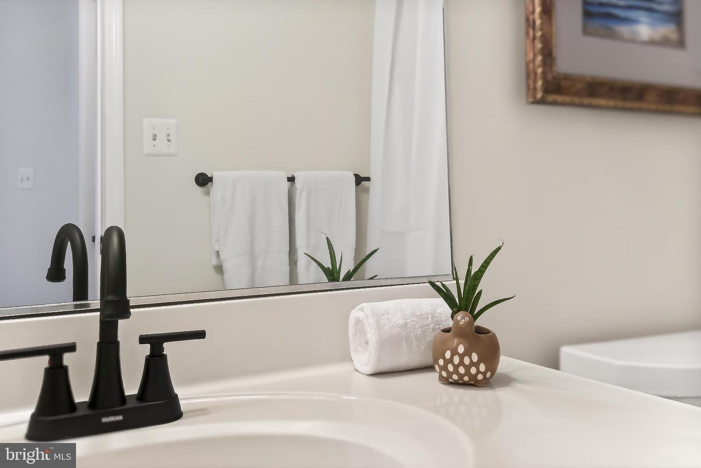 301 HILLWOOD AVE, FALLS CHURCH, Virginia 22046, 4 Bedrooms Bedrooms, ,2 BathroomsBathrooms,Residential,For sale,301 HILLWOOD AVE,VAFA2003598 MLS # VAFA2003598