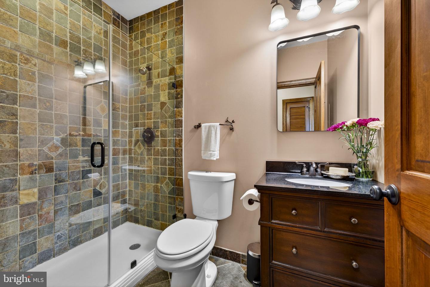 39054 OLD STAGE PL, WATERFORD, Virginia 20197, 5 Bedrooms Bedrooms, ,4 BathroomsBathrooms,Residential,For sale,39054 OLD STAGE PL,VALO2116632 MLS # VALO2116632