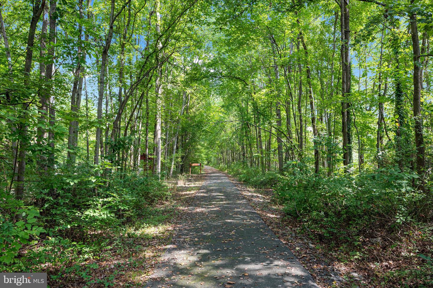 8734 LUKENS LN, ALEXANDRIA, Virginia 22309, 4 Bedrooms Bedrooms, ,5 BathroomsBathrooms,Residential,For sale,8734 LUKENS LN,VAFX2292592 MLS # VAFX2292592
