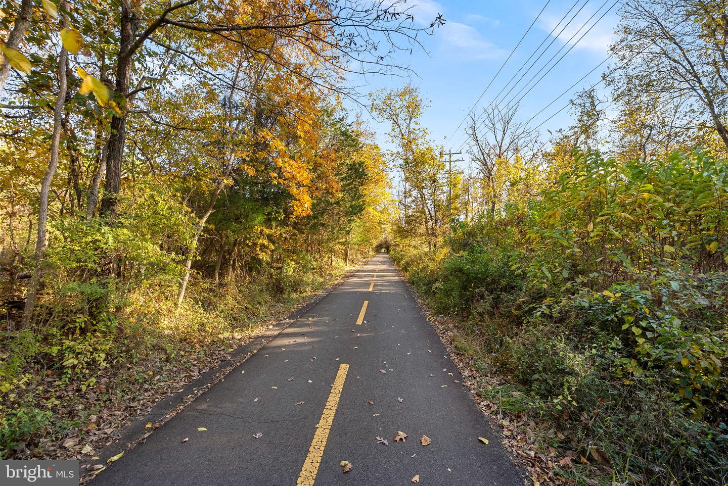 919 RHONDA PL SE, LEESBURG, Virginia 20175, 4 Bedrooms Bedrooms, ,4 BathroomsBathrooms,Residential,For sale,919 RHONDA PL SE,VALO2116704 MLS # VALO2116704