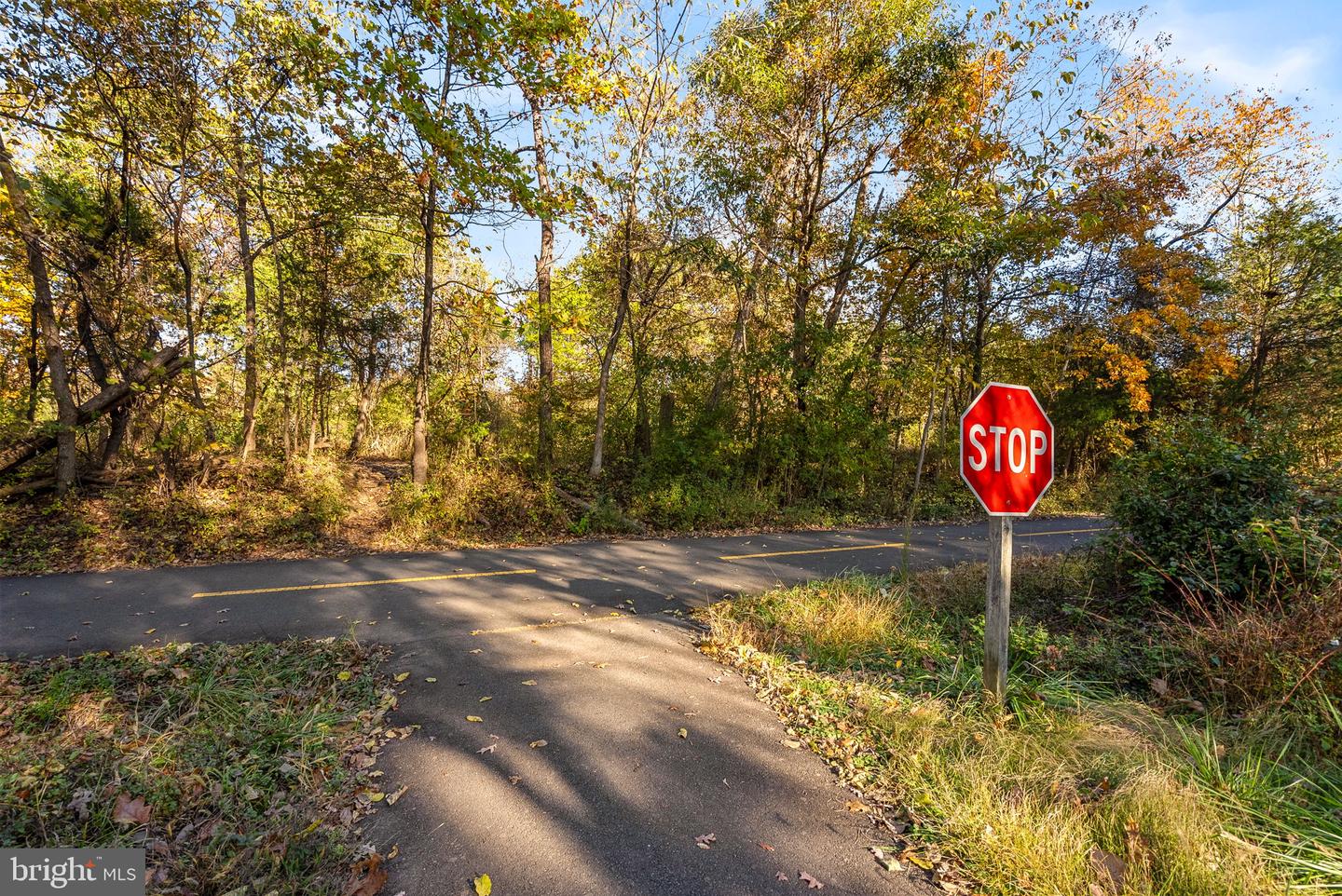 919 RHONDA PL SE, LEESBURG, Virginia 20175, 4 Bedrooms Bedrooms, ,4 BathroomsBathrooms,Residential,For sale,919 RHONDA PL SE,VALO2116704 MLS # VALO2116704