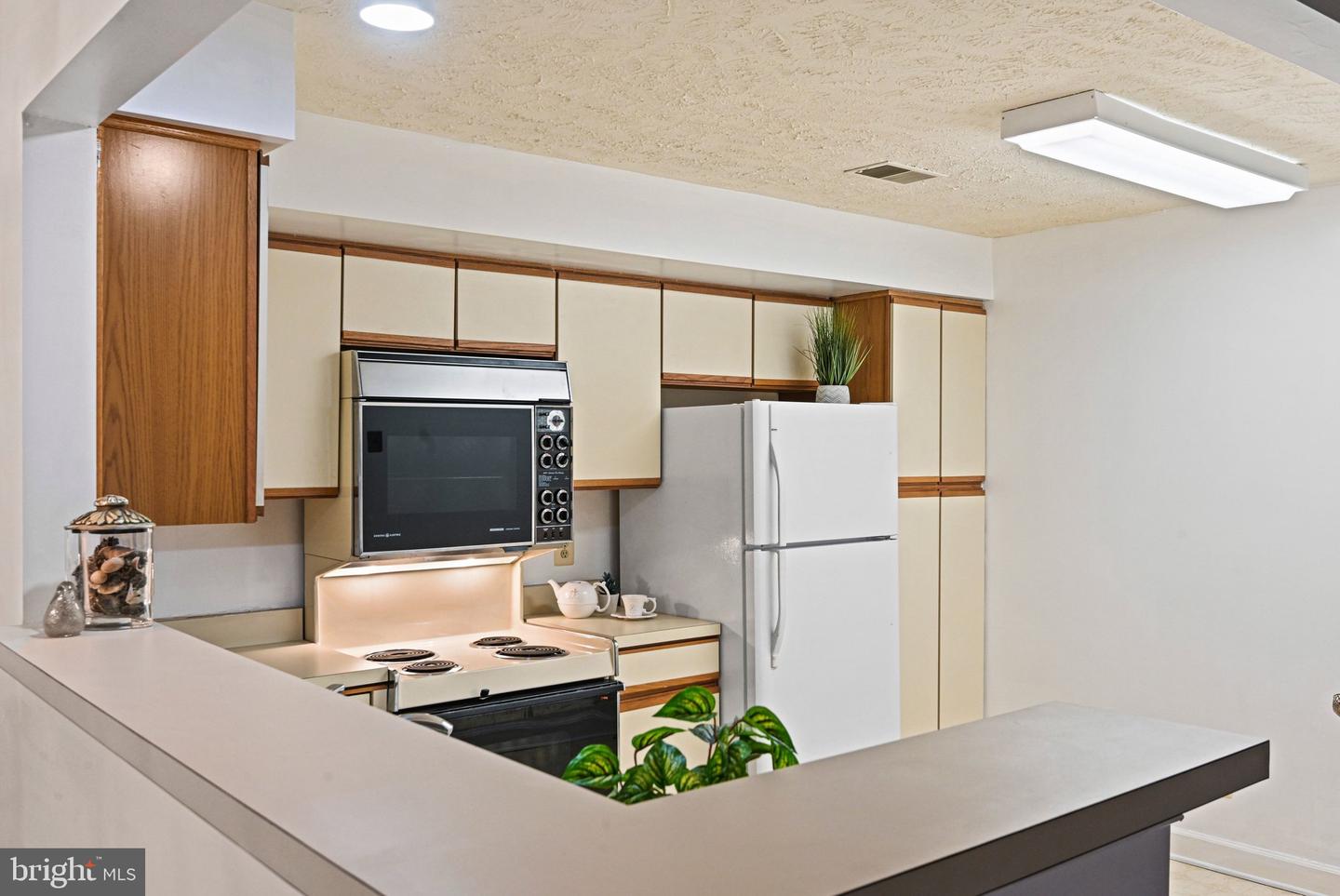 12003 RIDGE KNOLL DRIVE #9, FAIRFAX, Virginia 22033, 2 Bedrooms Bedrooms, ,2 BathroomsBathrooms,Residential,For sale,12003 RIDGE KNOLL DRIVE #9,VAFX2293110 MLS # VAFX2293110