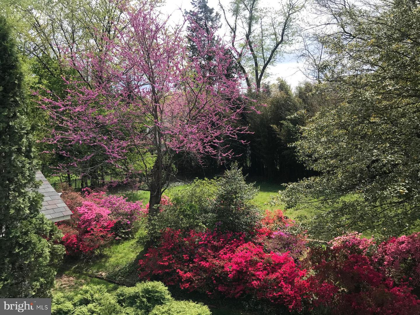 6429 DIVINE ST, MCLEAN, Virginia 22101, 4 Bedrooms Bedrooms, ,4 BathroomsBathrooms,Residential,For sale,6429 DIVINE ST,VAFX2293264 MLS # VAFX2293264