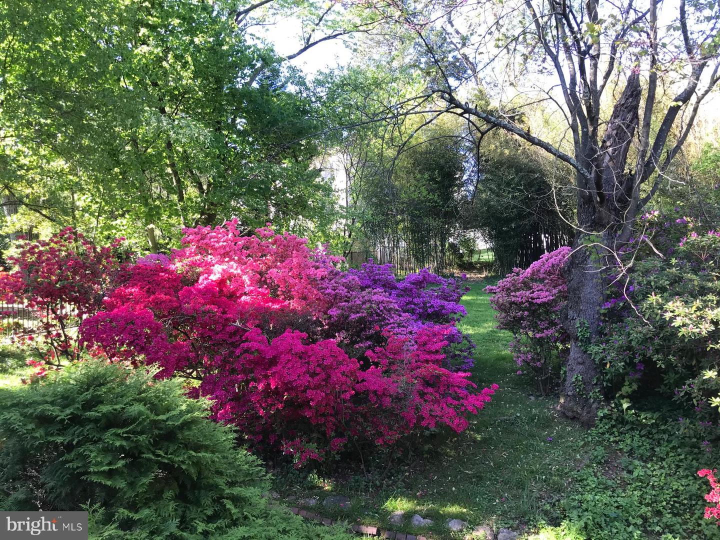 6429 DIVINE ST, MCLEAN, Virginia 22101, 4 Bedrooms Bedrooms, ,4 BathroomsBathrooms,Residential,For sale,6429 DIVINE ST,VAFX2293264 MLS # VAFX2293264