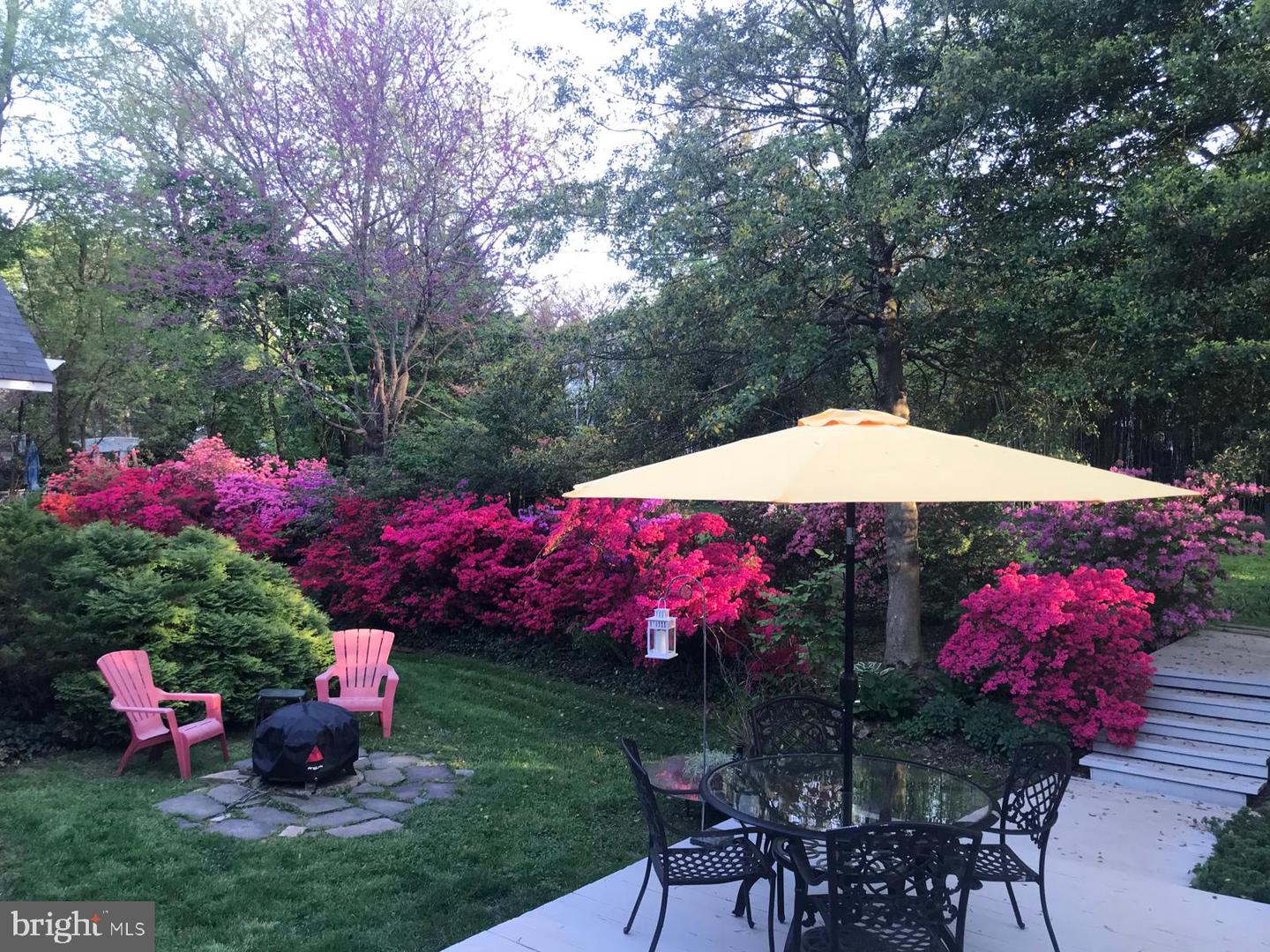 6429 DIVINE ST, MCLEAN, Virginia 22101, 4 Bedrooms Bedrooms, ,4 BathroomsBathrooms,Residential,For sale,6429 DIVINE ST,VAFX2293264 MLS # VAFX2293264