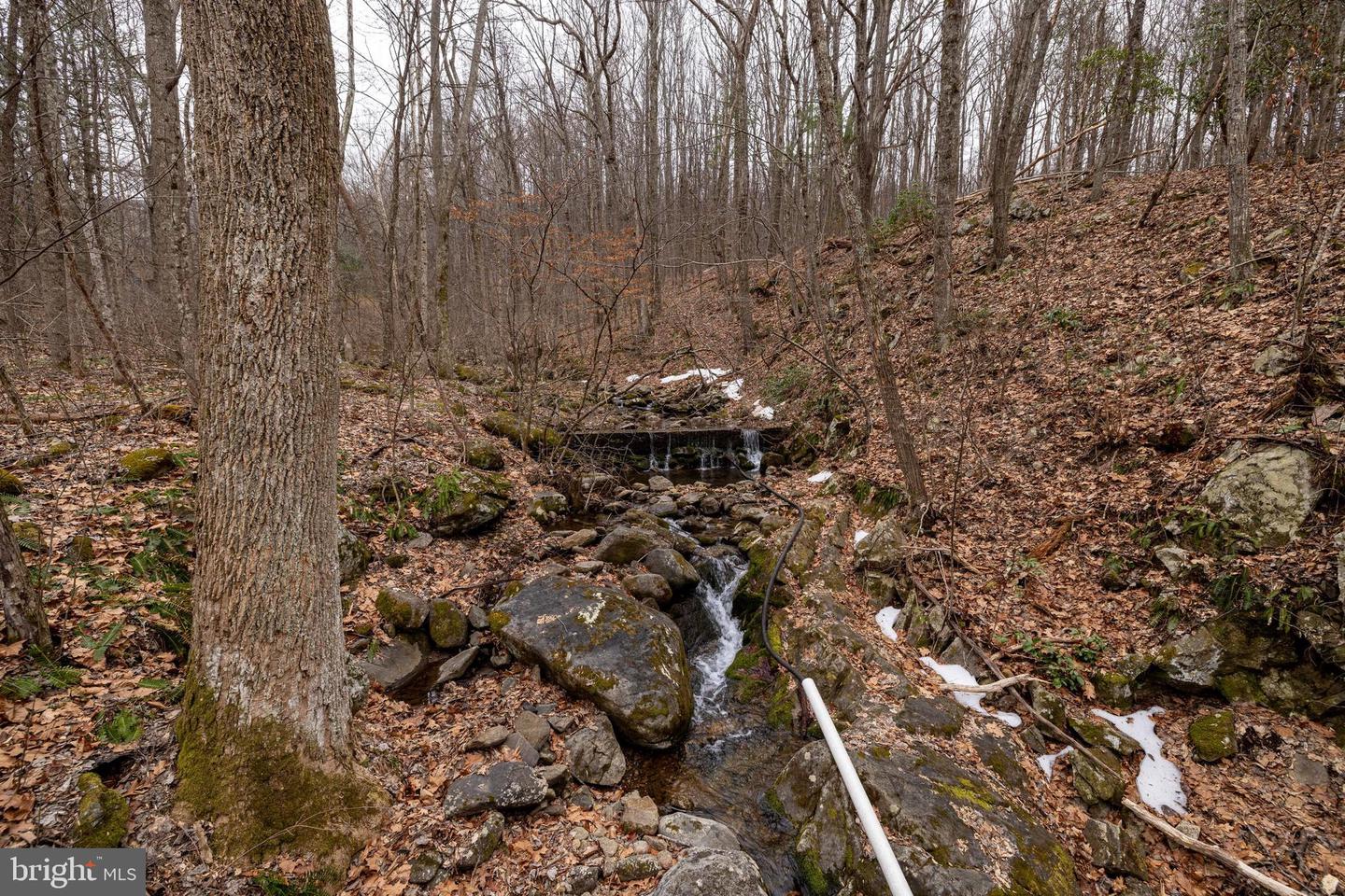 1918 JEWELL HOLLOW RD, LURAY, Virginia 22835, 3 Bedrooms Bedrooms, ,2 BathroomsBathrooms,Residential,For sale,1918 JEWELL HOLLOW RD,VAPA2006132 MLS # VAPA2006132