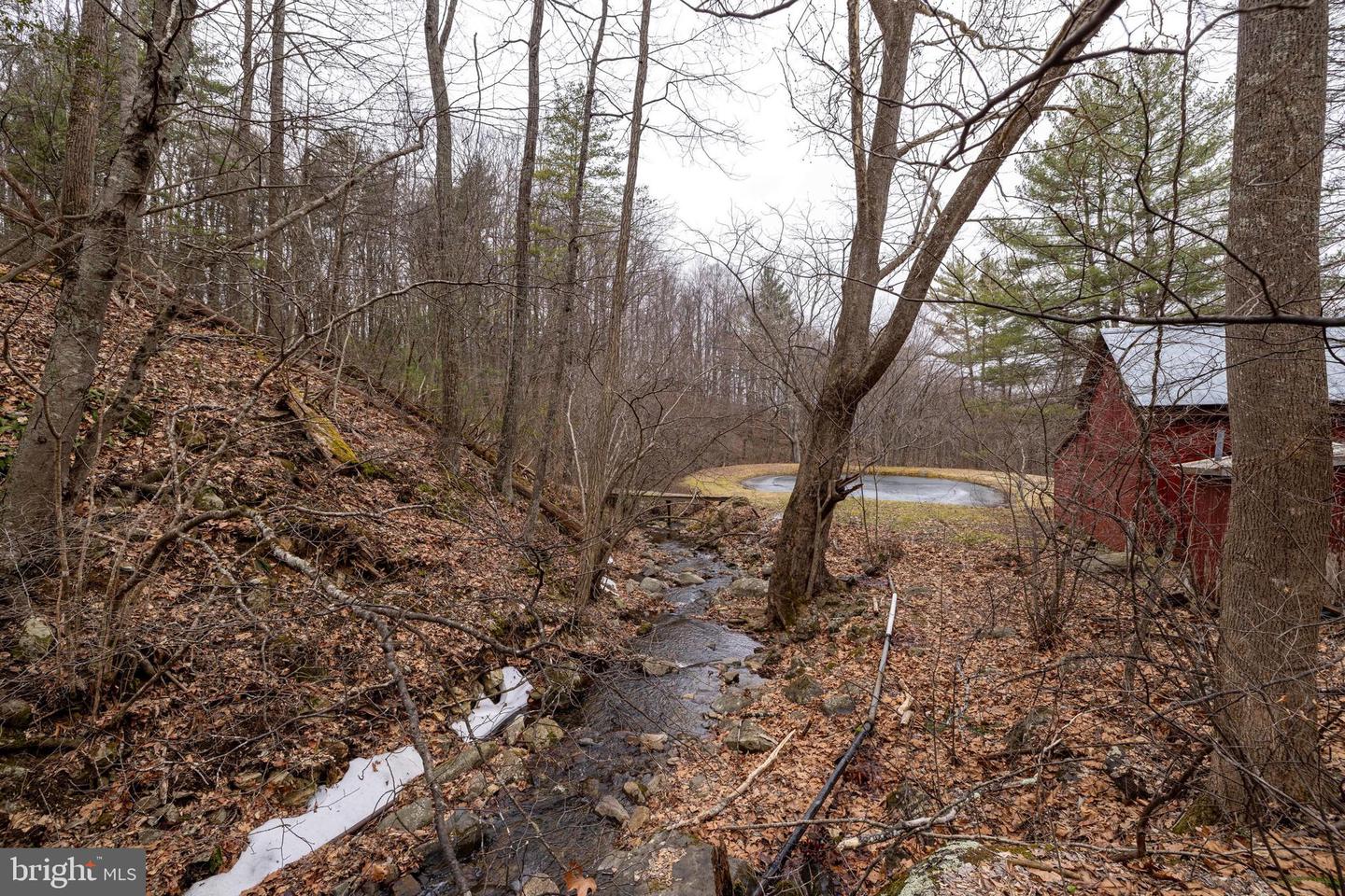 1918 JEWELL HOLLOW RD, LURAY, Virginia 22835, 3 Bedrooms Bedrooms, ,2 BathroomsBathrooms,Residential,For sale,1918 JEWELL HOLLOW RD,VAPA2006132 MLS # VAPA2006132