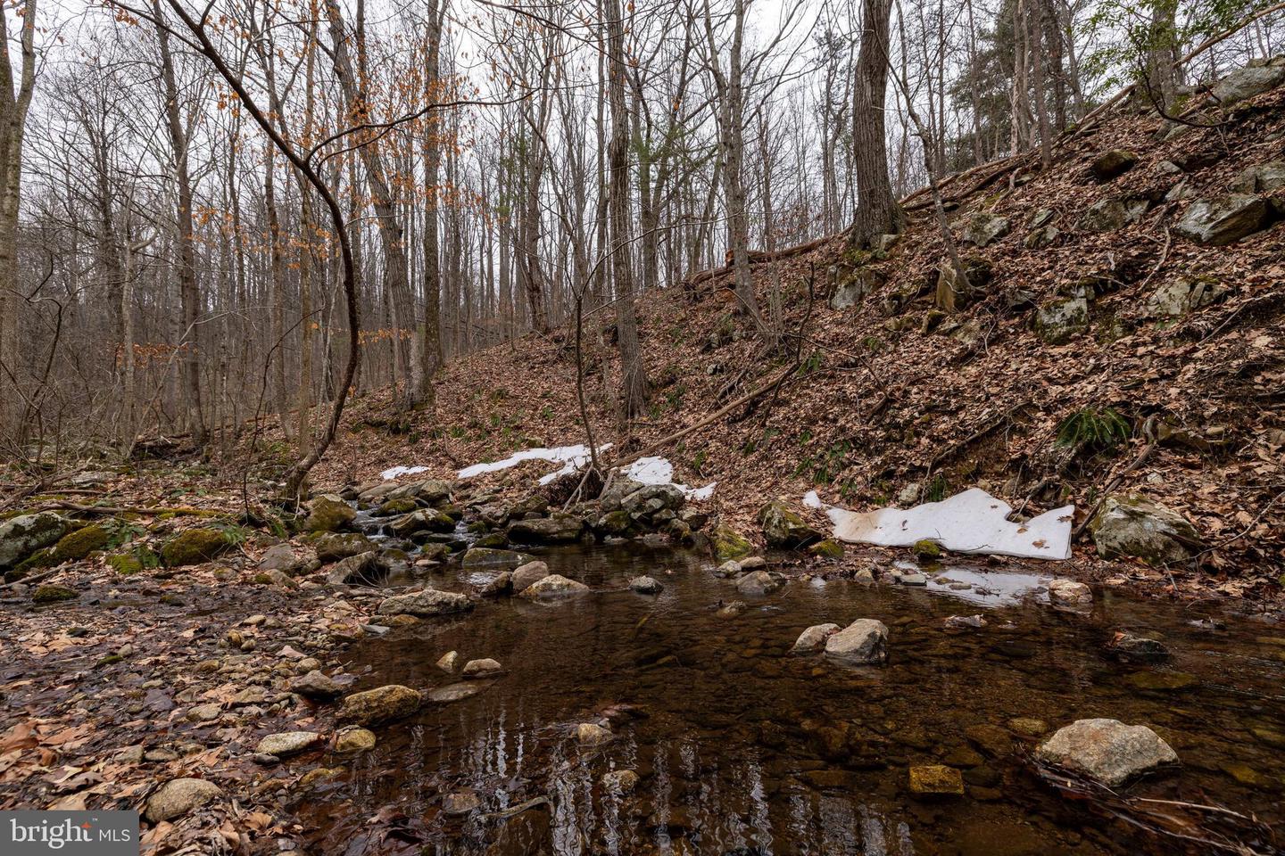 1918 JEWELL HOLLOW RD, LURAY, Virginia 22835, 3 Bedrooms Bedrooms, ,2 BathroomsBathrooms,Residential,For sale,1918 JEWELL HOLLOW RD,VAPA2006132 MLS # VAPA2006132