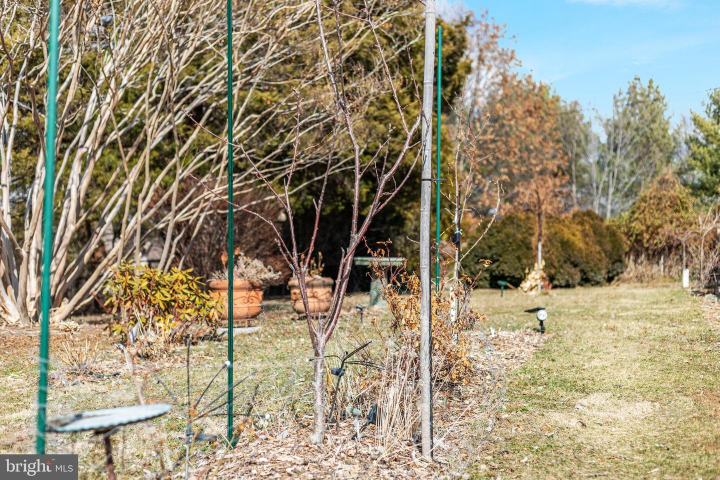 29674 OLD VALLEY PIKE, STRASBURG, Virginia 22657, 2 Bedrooms Bedrooms, ,1 BathroomBathrooms,Residential,For sale,29674 OLD VALLEY PIKE,VASH2013704 MLS # VASH2013704