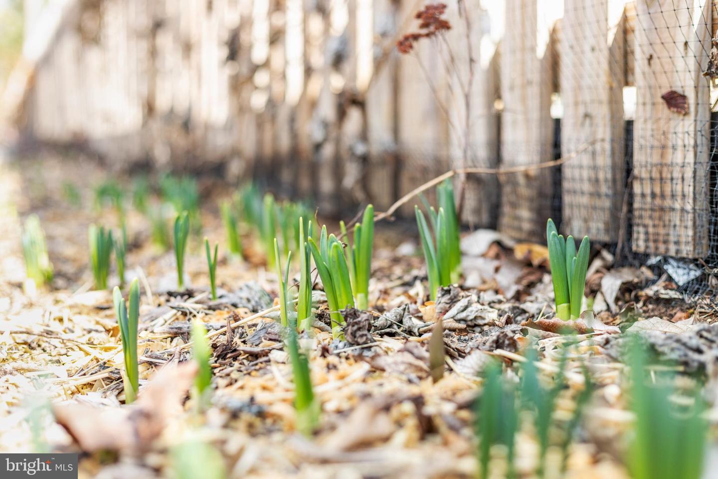 29674 OLD VALLEY PIKE, STRASBURG, Virginia 22657, 2 Bedrooms Bedrooms, ,1 BathroomBathrooms,Residential,For sale,29674 OLD VALLEY PIKE,VASH2013704 MLS # VASH2013704