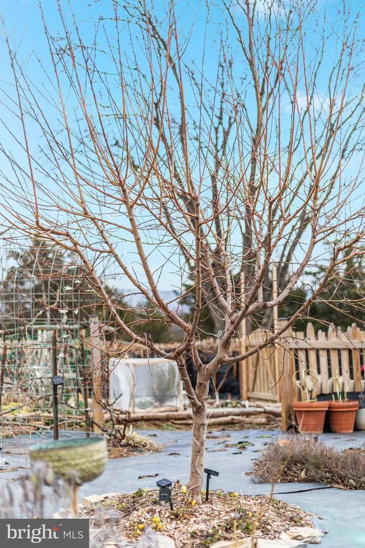 29674 OLD VALLEY PIKE, STRASBURG, Virginia 22657, 2 Bedrooms Bedrooms, ,1 BathroomBathrooms,Residential,For sale,29674 OLD VALLEY PIKE,VASH2013704 MLS # VASH2013704