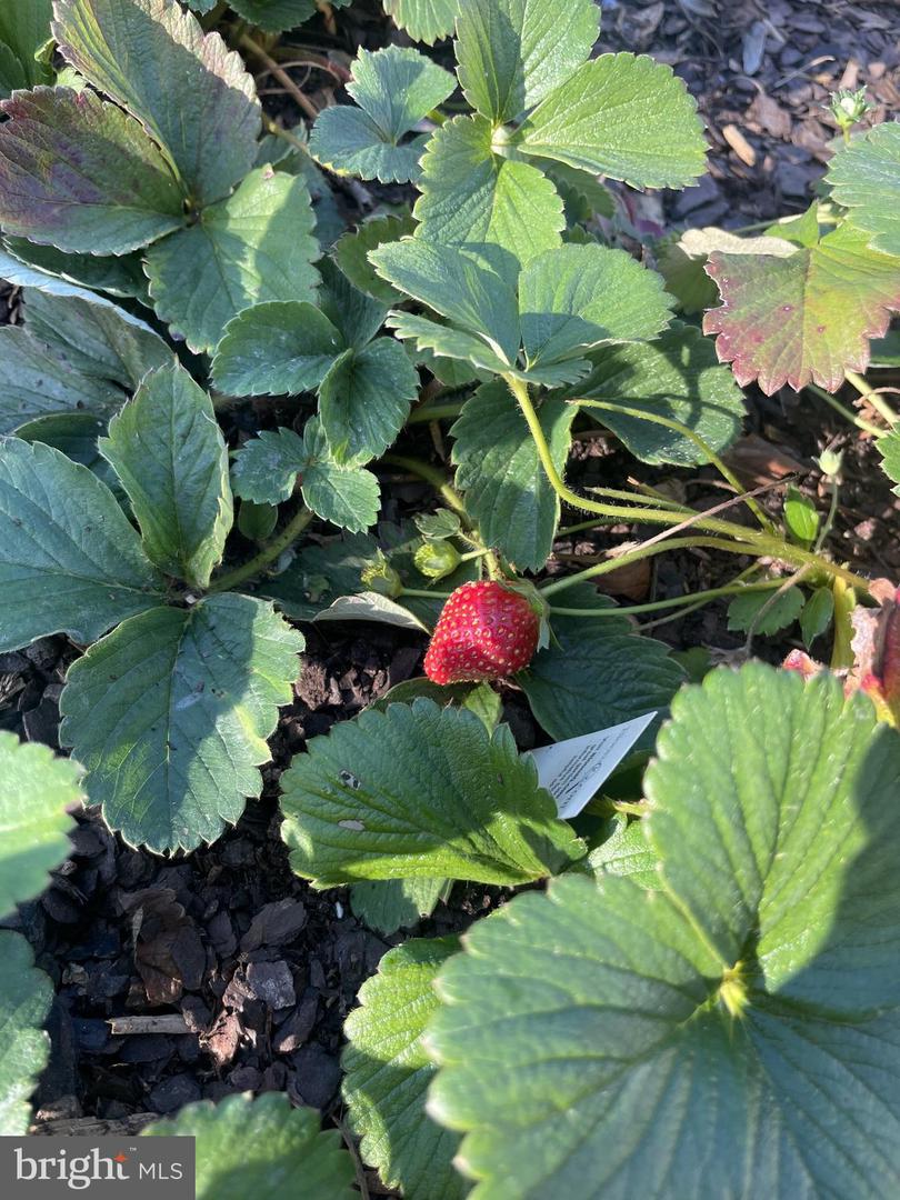 29674 OLD VALLEY PIKE, STRASBURG, Virginia 22657, 2 Bedrooms Bedrooms, ,1 BathroomBathrooms,Residential,For sale,29674 OLD VALLEY PIKE,VASH2013704 MLS # VASH2013704