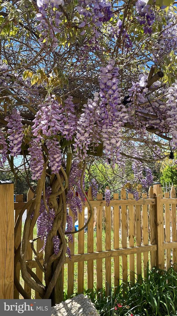 29674 OLD VALLEY PIKE, STRASBURG, Virginia 22657, 2 Bedrooms Bedrooms, ,1 BathroomBathrooms,Residential,For sale,29674 OLD VALLEY PIKE,VASH2013704 MLS # VASH2013704