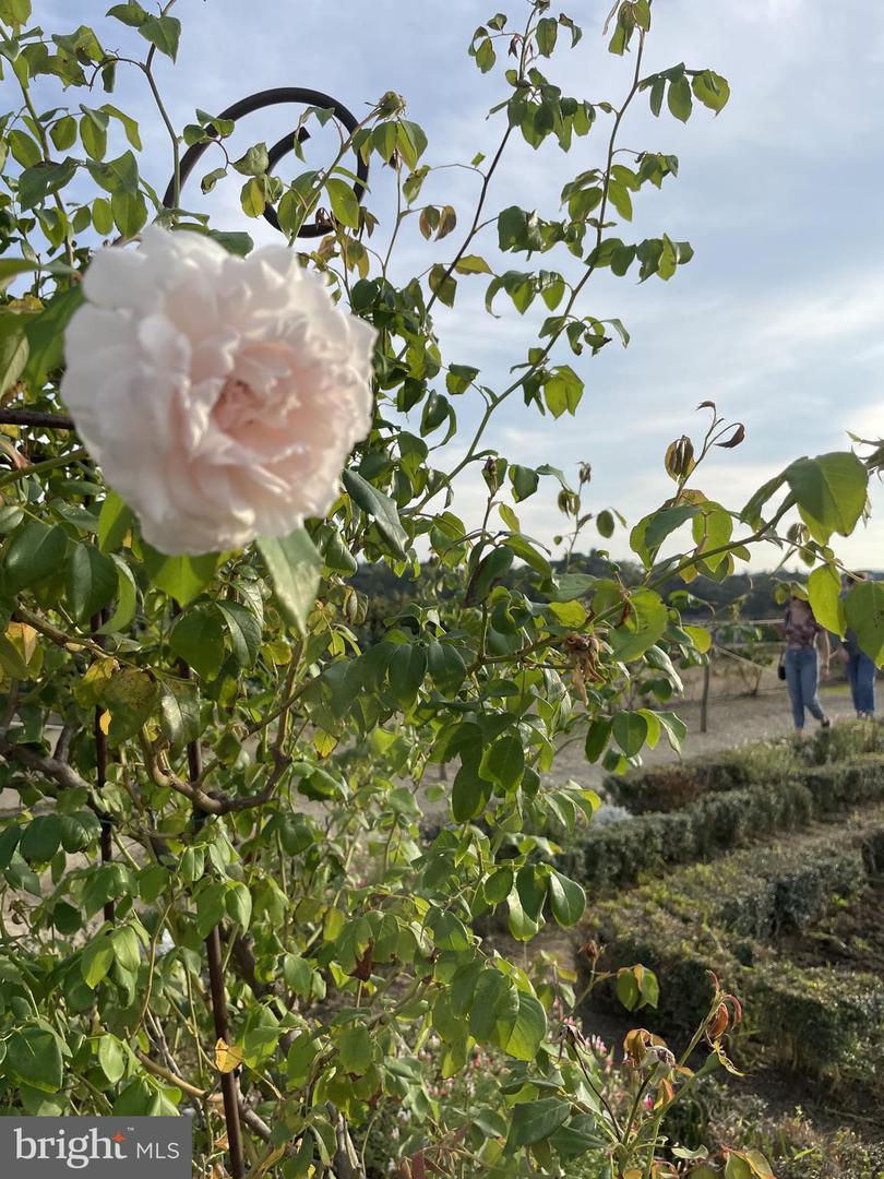 29674 OLD VALLEY PIKE, STRASBURG, Virginia 22657, 2 Bedrooms Bedrooms, ,1 BathroomBathrooms,Residential,For sale,29674 OLD VALLEY PIKE,VASH2013704 MLS # VASH2013704