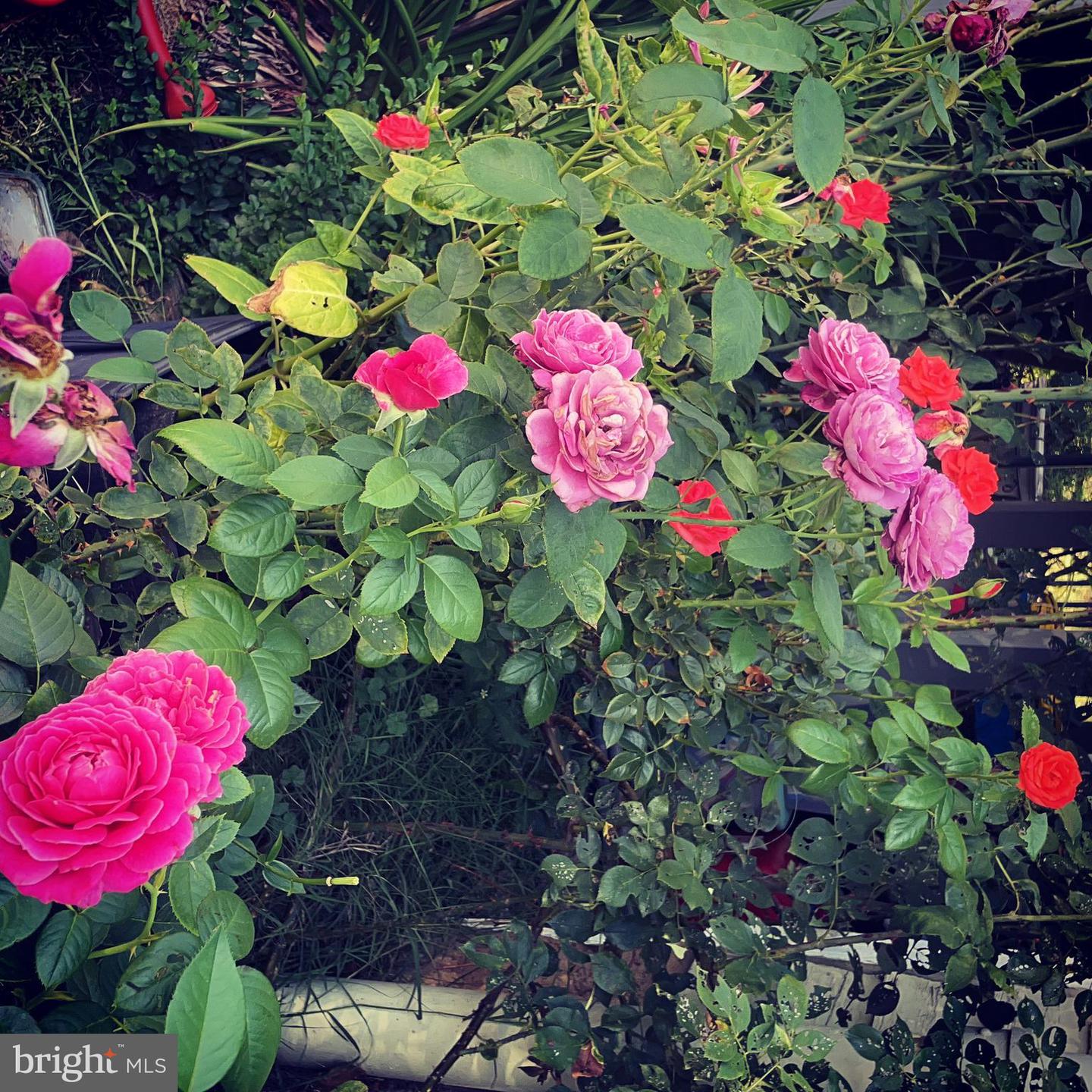 29674 OLD VALLEY PIKE, STRASBURG, Virginia 22657, 2 Bedrooms Bedrooms, ,1 BathroomBathrooms,Residential,For sale,29674 OLD VALLEY PIKE,VASH2013704 MLS # VASH2013704