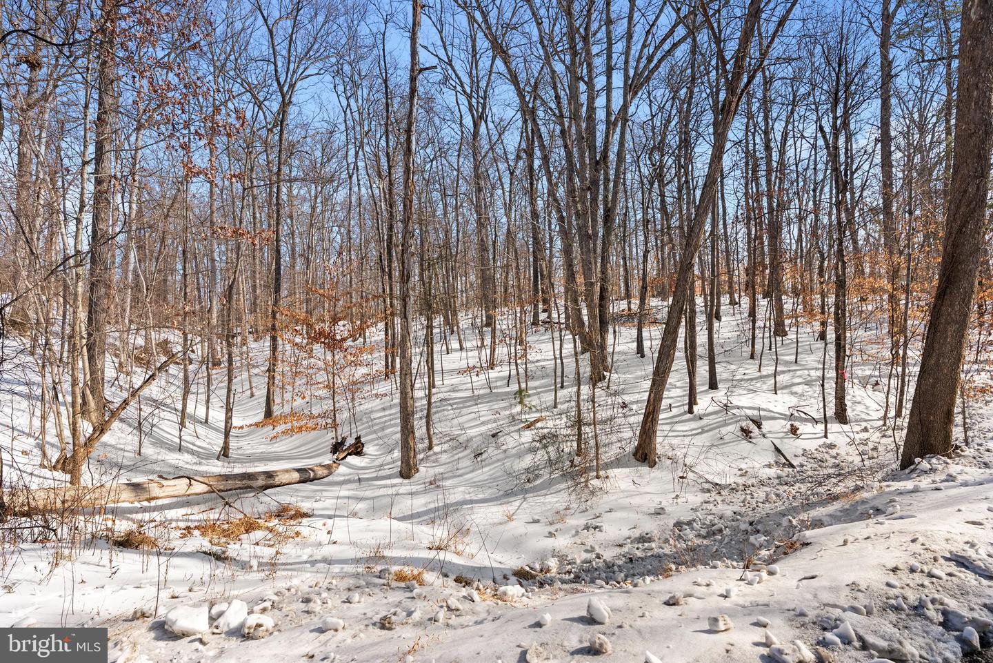 LOT 14 CINDYS WAY, FRONT ROYAL, Virginia 22630, ,Land,For sale,LOT 14 CINDYS WAY,VAWR2013324 MLS # VAWR2013324