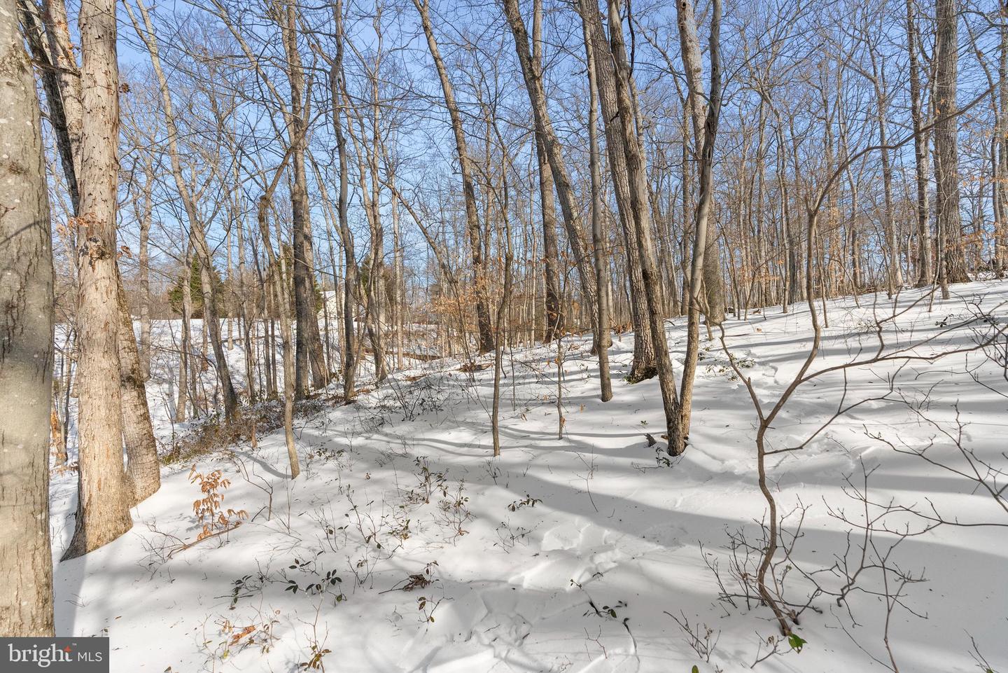 LOT 14 CINDYS WAY, FRONT ROYAL, Virginia 22630, ,Land,For sale,LOT 14 CINDYS WAY,VAWR2013324 MLS # VAWR2013324