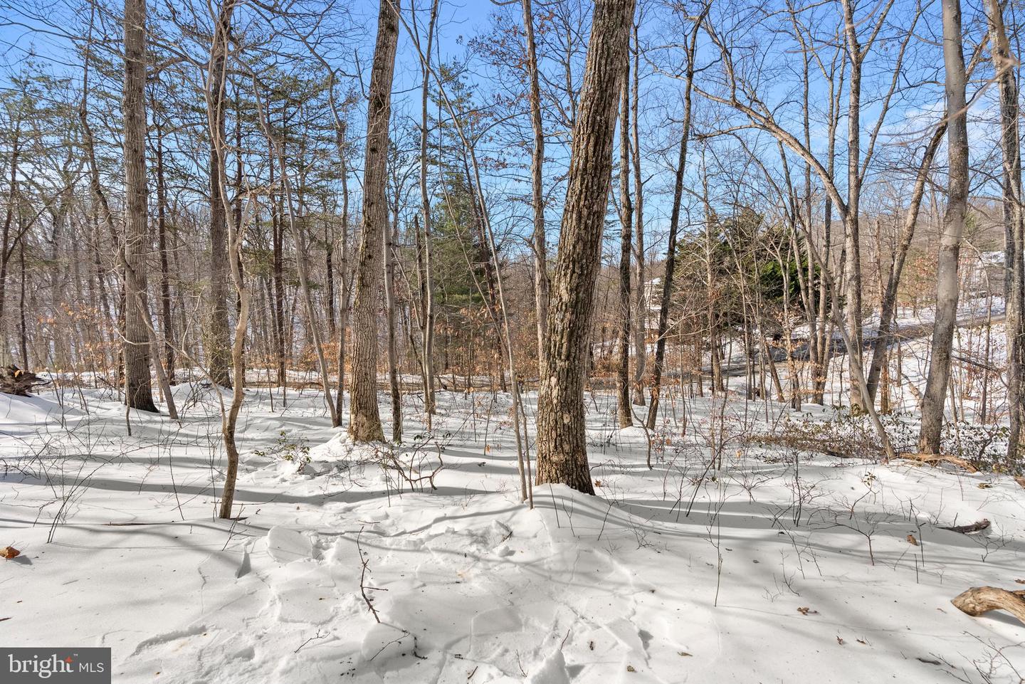 LOT 14 CINDYS WAY, FRONT ROYAL, Virginia 22630, ,Land,For sale,LOT 14 CINDYS WAY,VAWR2013324 MLS # VAWR2013324