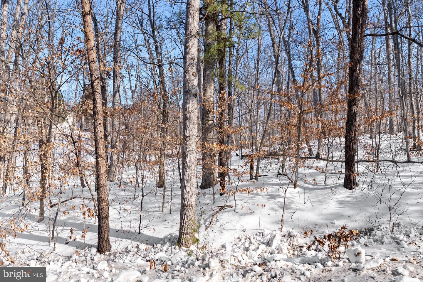 LOT 14 CINDYS WAY, FRONT ROYAL, Virginia 22630, ,Land,For sale,LOT 14 CINDYS WAY,VAWR2013324 MLS # VAWR2013324