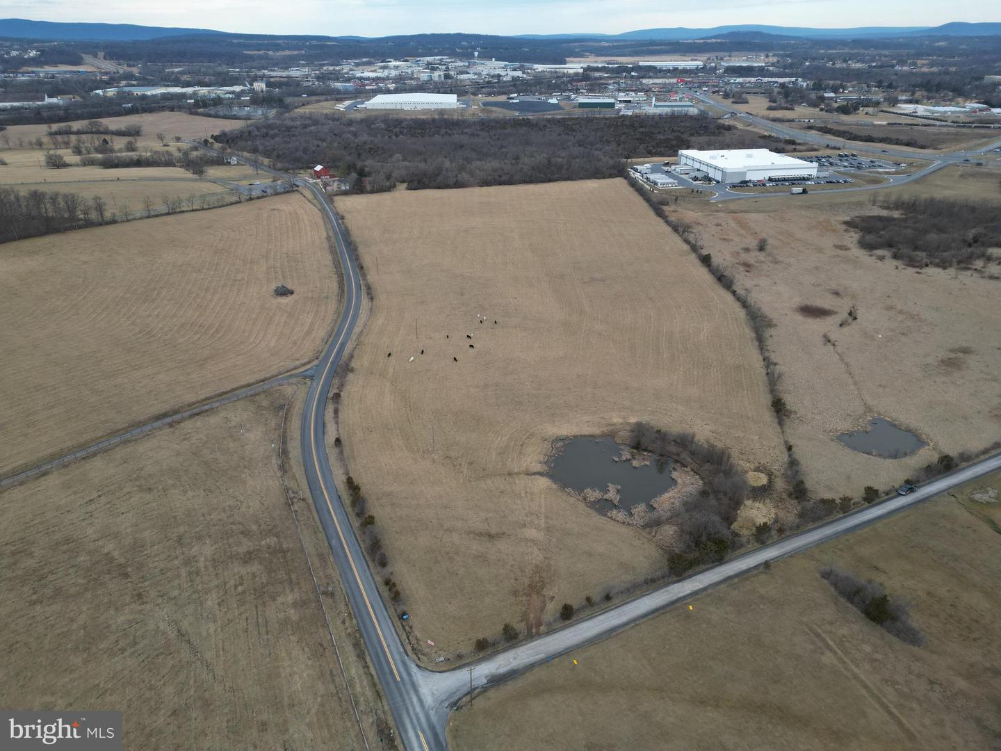 REDBUD RD, WINCHESTER, Virginia 22603, ,Land,For sale,REDBUD RD,VAFV2039702 MLS # VAFV2039702