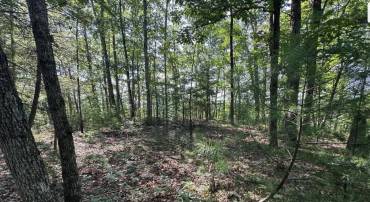 STOKES AIRPORT ROAD #18-81F, FRONT ROYAL, Virginia 22630, ,Land,For sale,STOKES AIRPORT ROAD #18-81F,VAWR2013538 MLS # VAWR2013538