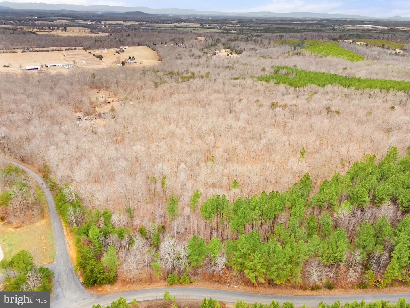 DRAGOON RD, CULPEPER, Virginia 22701, ,Land,For sale,DRAGOON RD,VACU2012822 MLS # VACU2012822