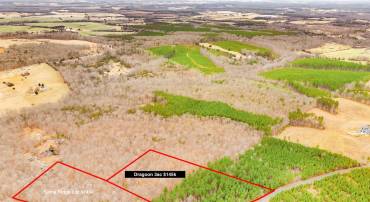 DRAGOON RD, CULPEPER, Virginia 22701, ,Land,For sale,DRAGOON RD,VACU2012822 MLS # VACU2012822