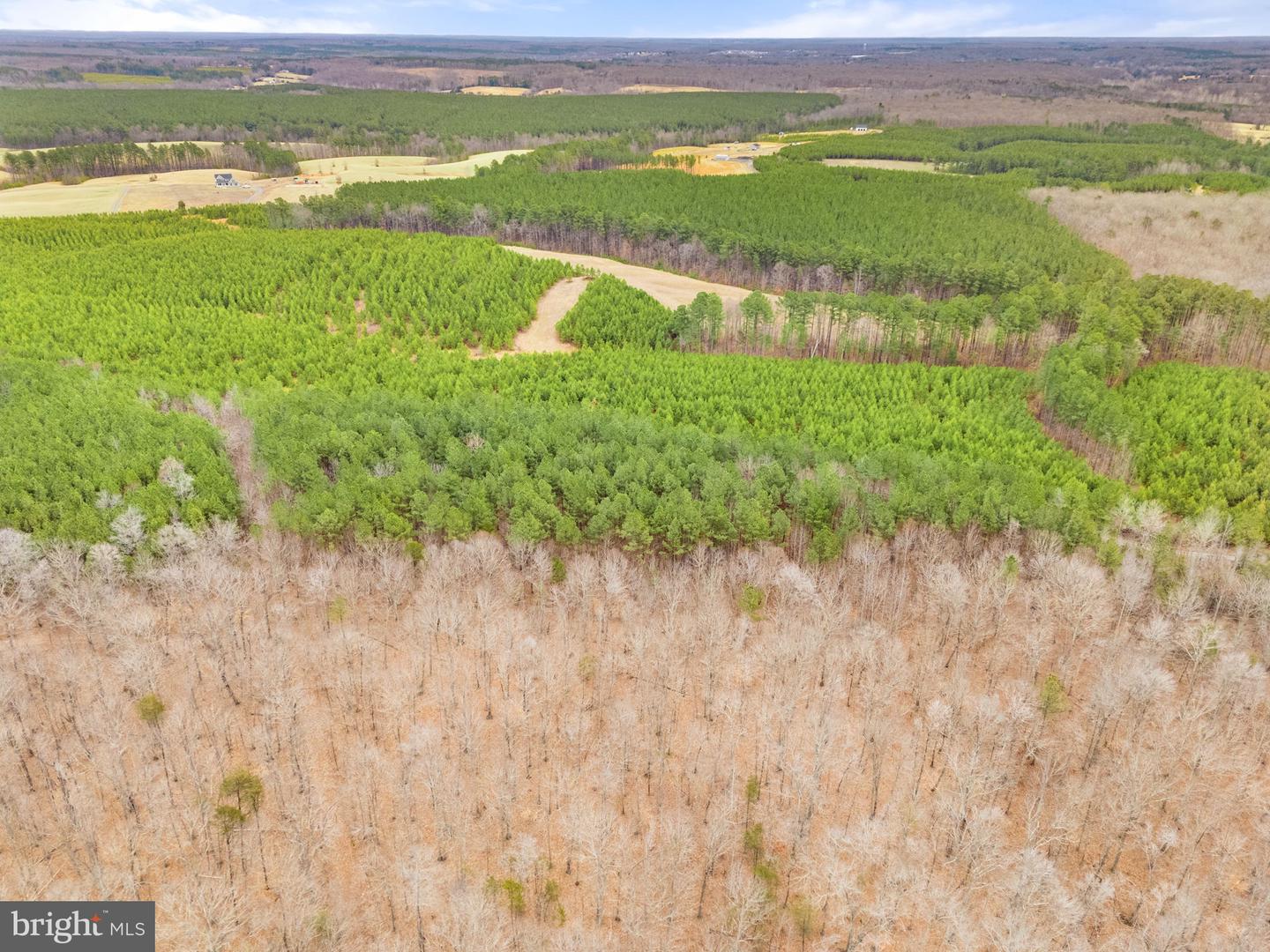 SAMS RIDGE, CULPEPER, Virginia 22701, ,Land,For sale,SAMS RIDGE,VACU2012824 MLS # VACU2012824