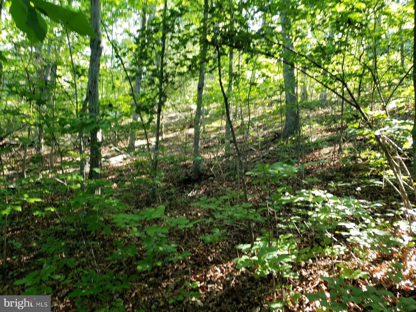 0 LAKEVIEW, CROSS JUNCTION, Virginia 22625, ,Land,For sale,0 LAKEVIEW,VAFV2039938 MLS # VAFV2039938