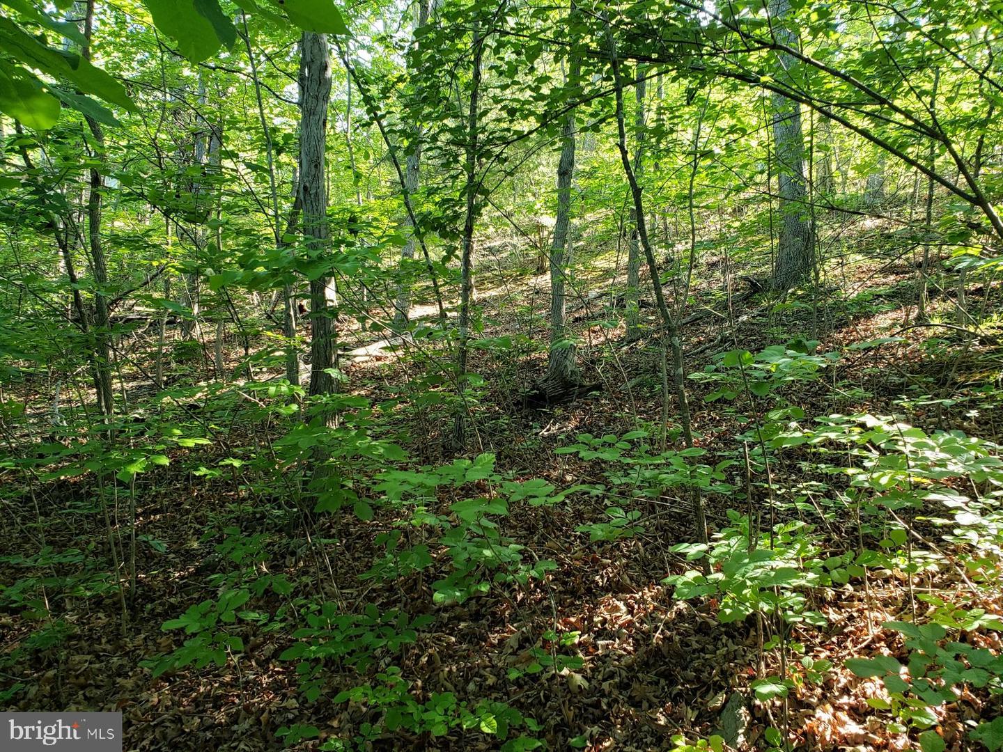 0 LAKEVIEW, CROSS JUNCTION, Virginia 22625, ,Land,For sale,0 LAKEVIEW,VAFV2039938 MLS # VAFV2039938