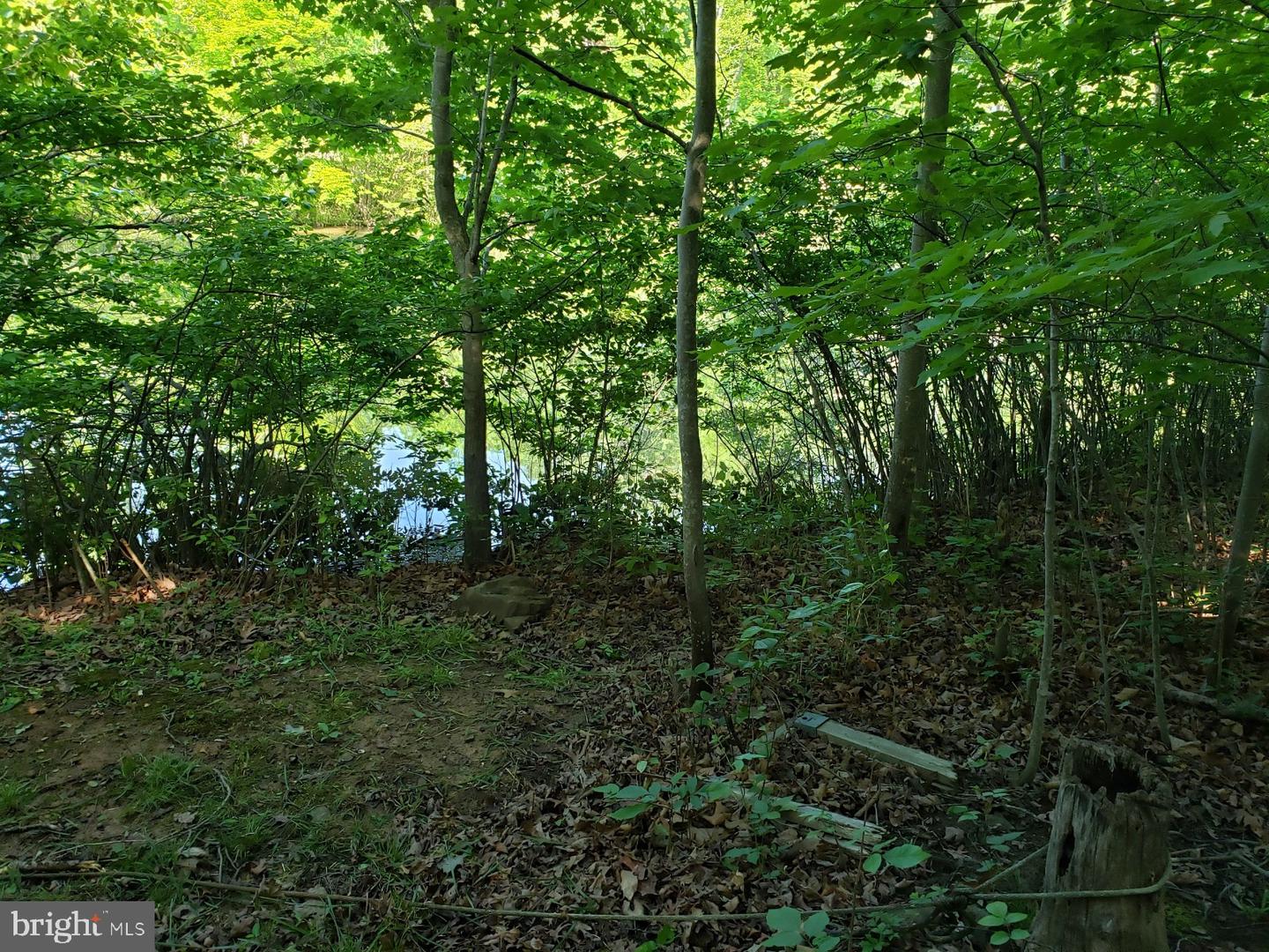 0 LAKEVIEW, CROSS JUNCTION, Virginia 22625, ,Land,For sale,0 LAKEVIEW,VAFV2039938 MLS # VAFV2039938