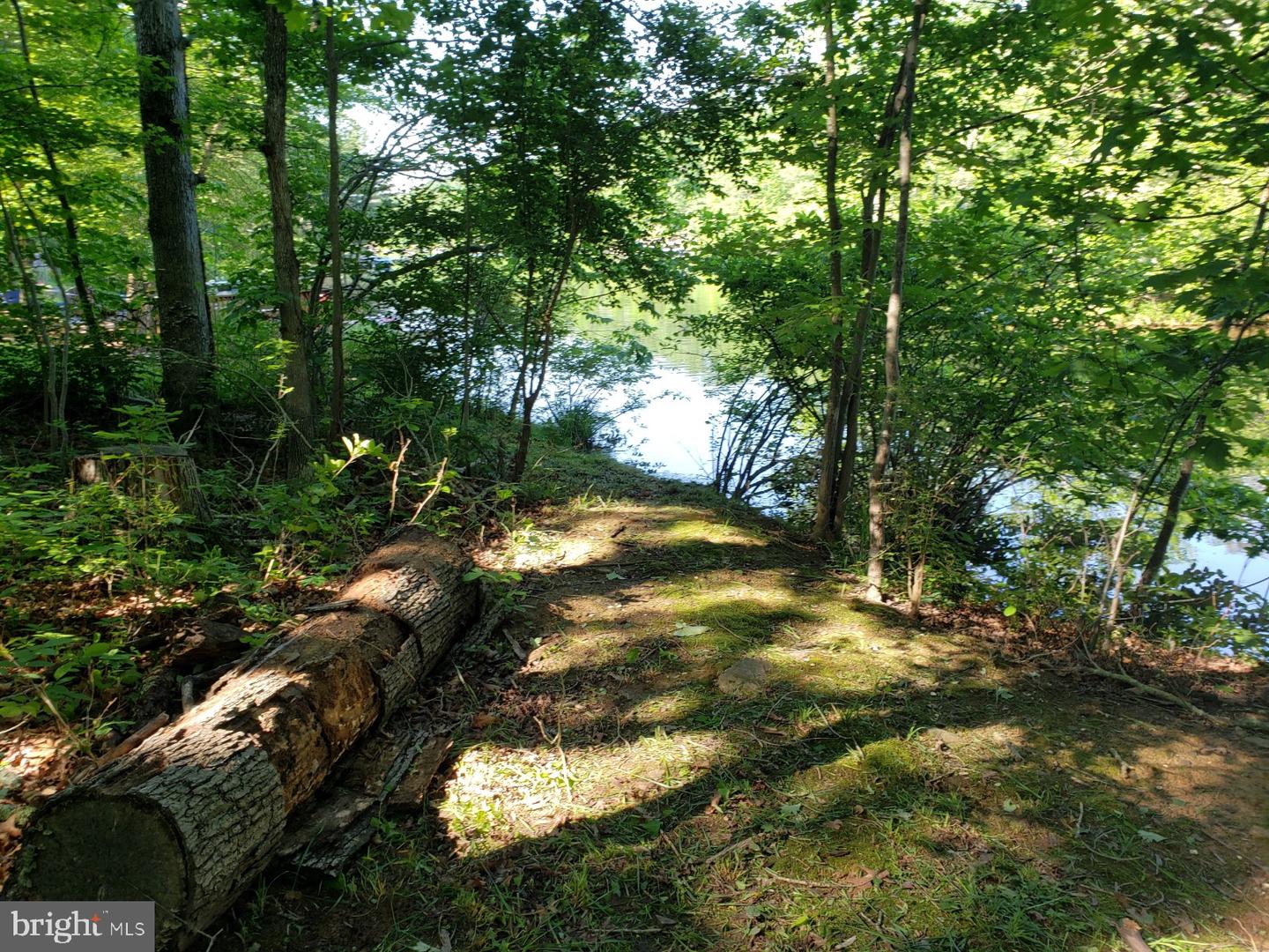 0 LAKEVIEW, CROSS JUNCTION, Virginia 22625, ,Land,For sale,0 LAKEVIEW,VAFV2039938 MLS # VAFV2039938