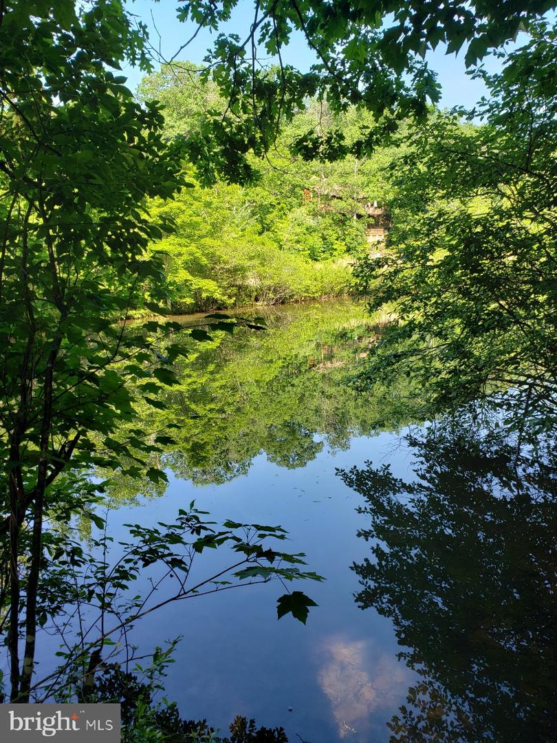 0 LAKEVIEW, CROSS JUNCTION, Virginia 22625, ,Land,For sale,0 LAKEVIEW,VAFV2039938 MLS # VAFV2039938