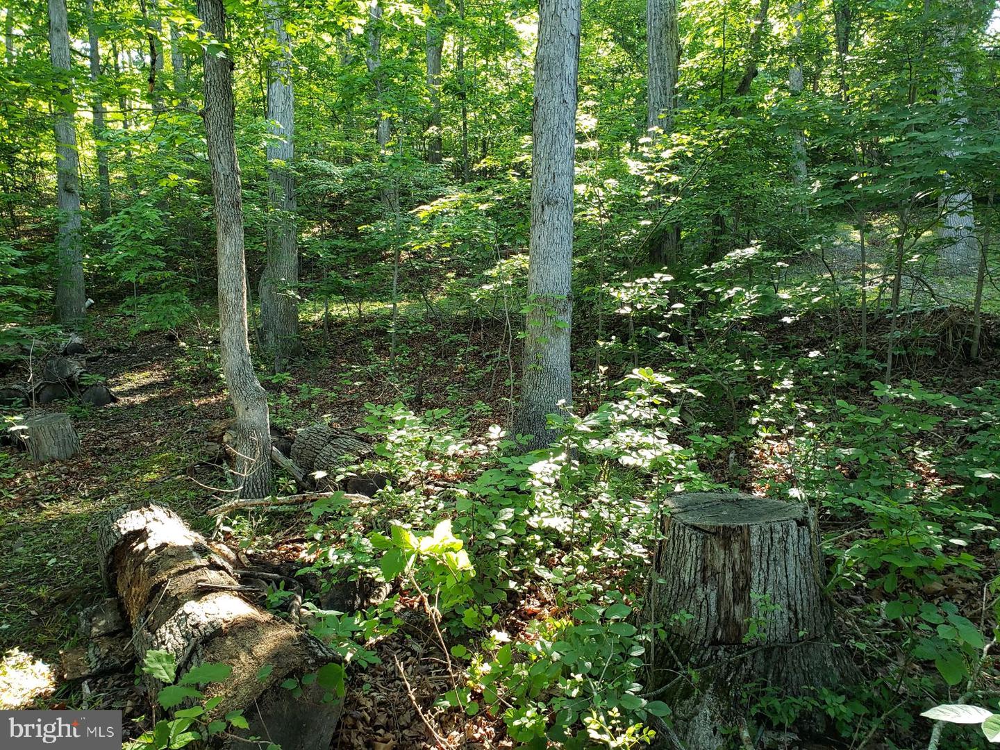 0 LAKEVIEW, CROSS JUNCTION, Virginia 22625, ,Land,For sale,0 LAKEVIEW,VAFV2039938 MLS # VAFV2039938