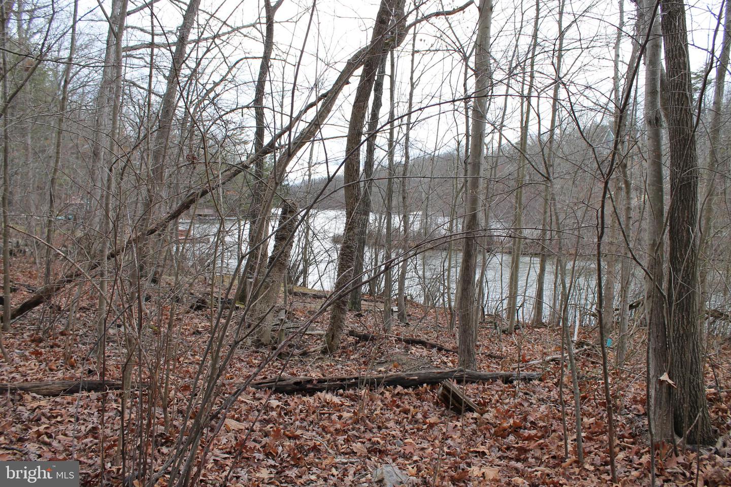 0 LAKEVIEW, CROSS JUNCTION, Virginia 22625, ,Land,For sale,0 LAKEVIEW,VAFV2039938 MLS # VAFV2039938