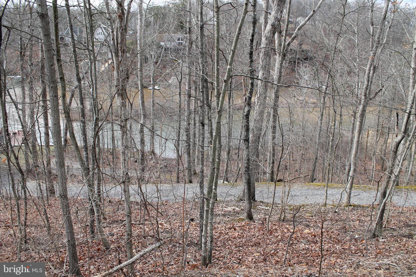 0 LAKEVIEW, CROSS JUNCTION, Virginia 22625, ,Land,For sale,0 LAKEVIEW,VAFV2039938 MLS # VAFV2039938