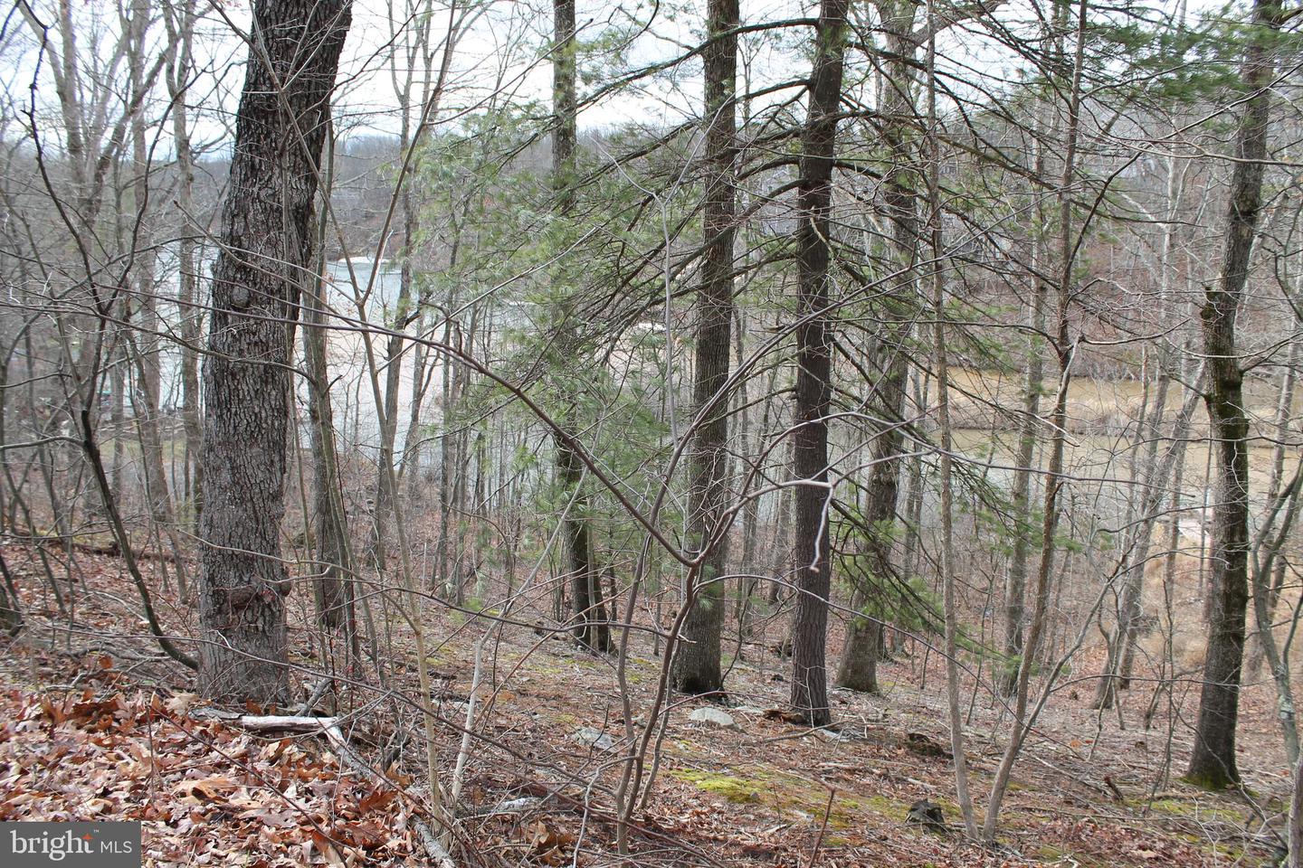 0 LAKEVIEW, CROSS JUNCTION, Virginia 22625, ,Land,For sale,0 LAKEVIEW,VAFV2039938 MLS # VAFV2039938