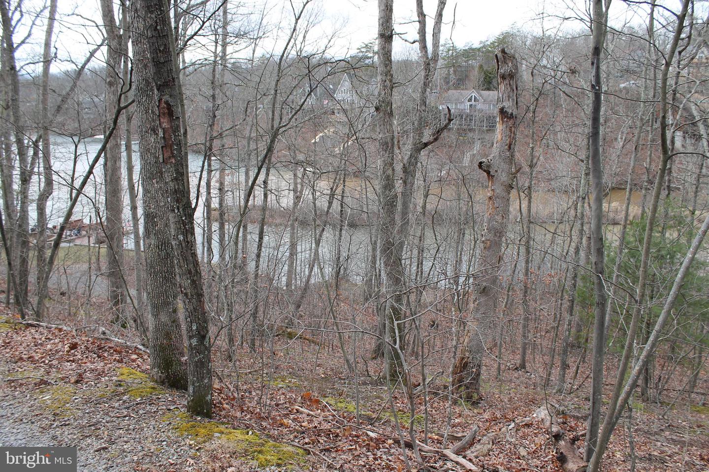 0 LAKEVIEW, CROSS JUNCTION, Virginia 22625, ,Land,For sale,0 LAKEVIEW,VAFV2039938 MLS # VAFV2039938