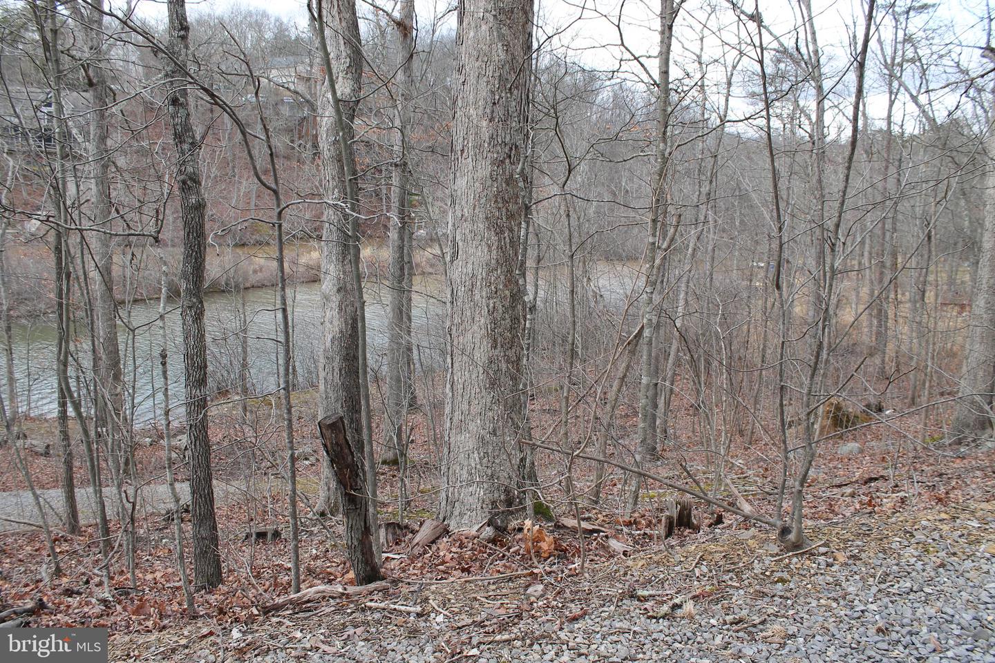 0 LAKEVIEW, CROSS JUNCTION, Virginia 22625, ,Land,For sale,0 LAKEVIEW,VAFV2039938 MLS # VAFV2039938