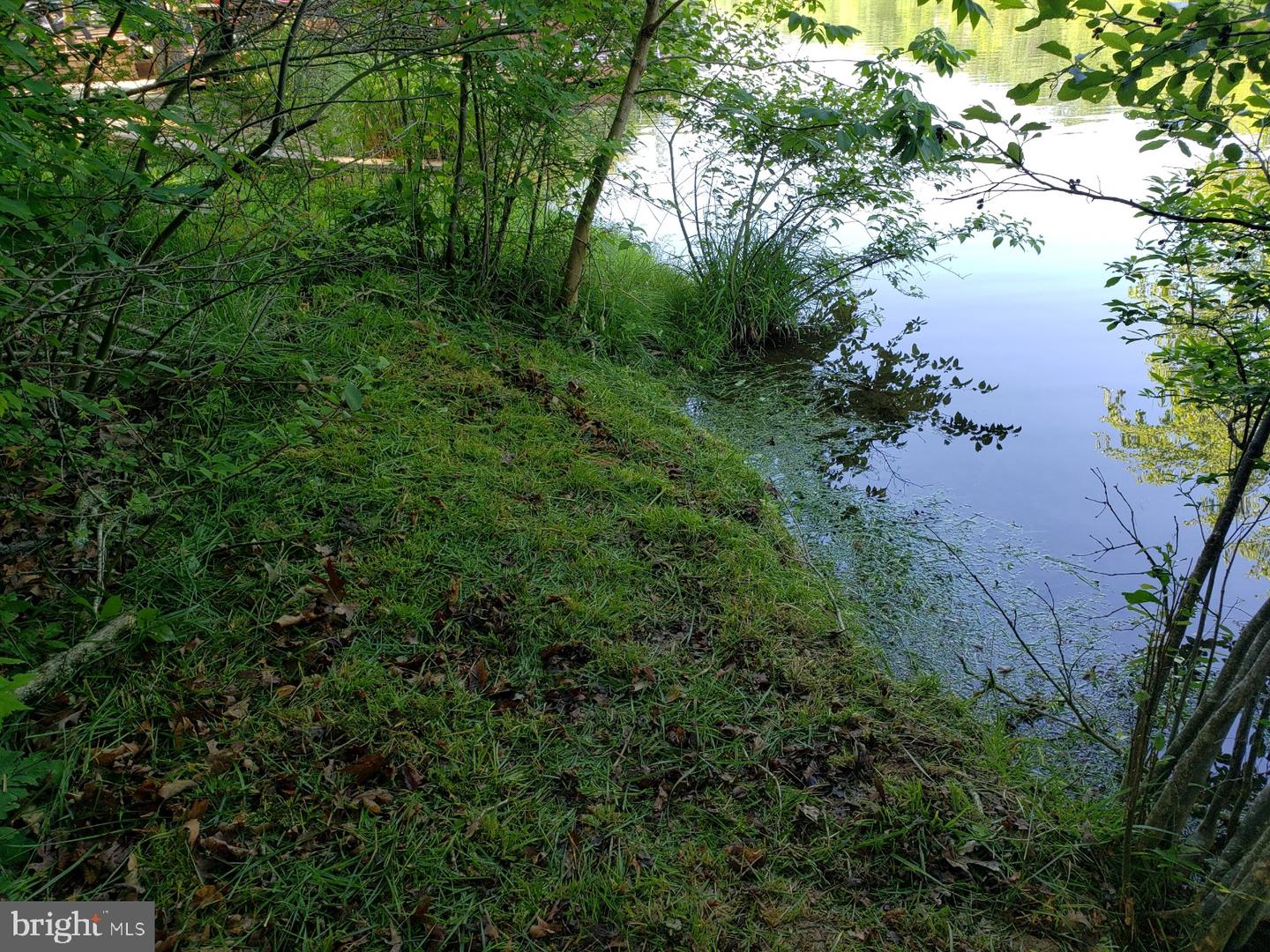 0 LAKEVIEW, CROSS JUNCTION, Virginia 22625, ,Land,For sale,0 LAKEVIEW,VAFV2039938 MLS # VAFV2039938