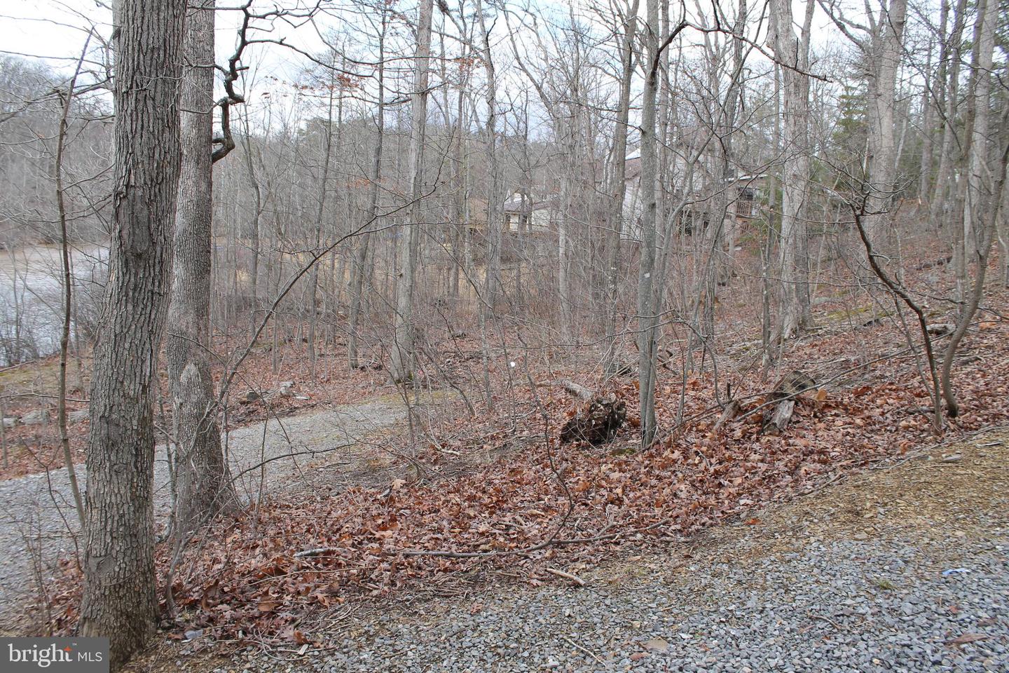 0 LAKEVIEW, CROSS JUNCTION, Virginia 22625, ,Land,For sale,0 LAKEVIEW,VAFV2039938 MLS # VAFV2039938