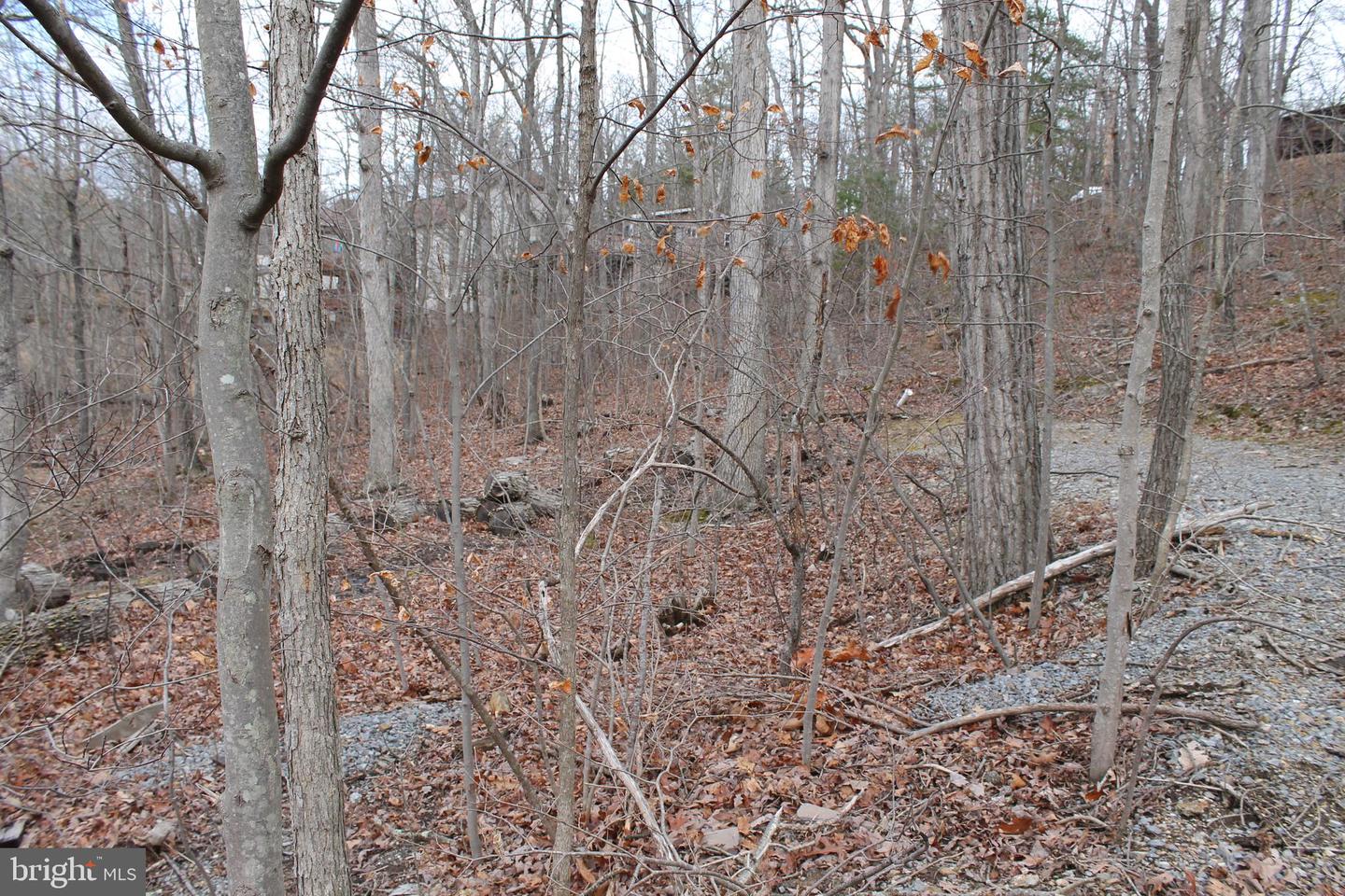 0 LAKEVIEW, CROSS JUNCTION, Virginia 22625, ,Land,For sale,0 LAKEVIEW,VAFV2039938 MLS # VAFV2039938