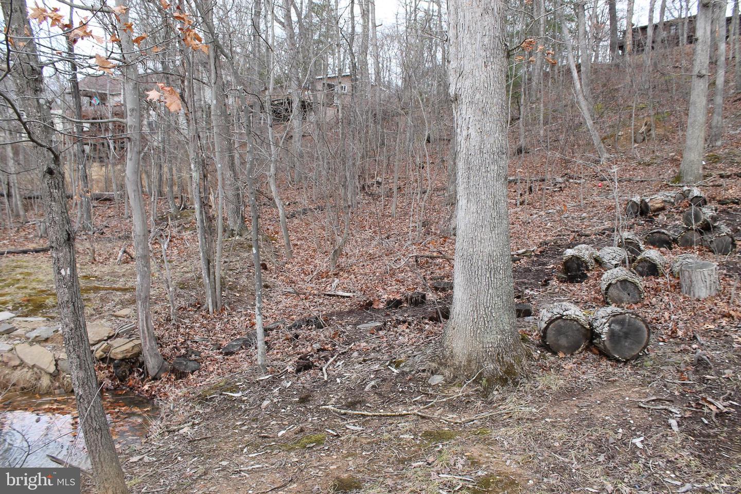 0 LAKEVIEW, CROSS JUNCTION, Virginia 22625, ,Land,For sale,0 LAKEVIEW,VAFV2039938 MLS # VAFV2039938